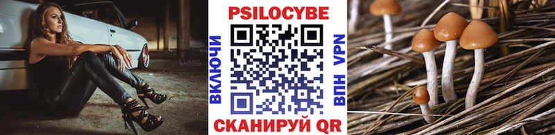 Галлюциногенные грибы Magic Shrooms  Юрьевец 